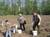 IMG 6883