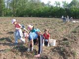 IMG 6886