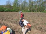 IMG 6887
