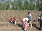 IMG 6888