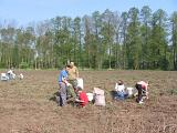 IMG 6890