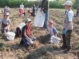 IMG 6895