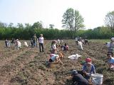 IMG 6898