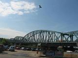 IMG 0542