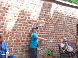 IMG 0724