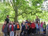IMG 4751