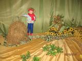 IMG 4782