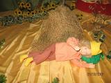 IMG 4797