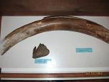 IMG 4824