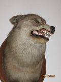 IMG 4840