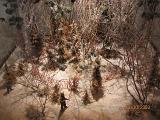 IMG 4843