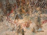 IMG 4848
