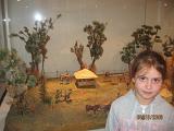 IMG 4850