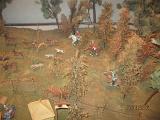 IMG 4853