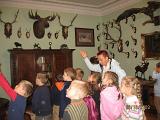 IMG 4861