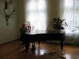 IMG 4867