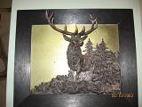 IMG 4868