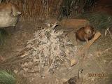 IMG 4877