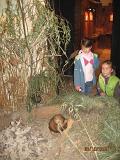 IMG 4878