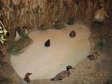 IMG 4880