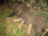 IMG 4882