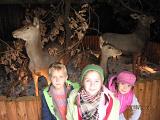 IMG 4883