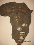 IMG 4885