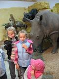 IMG 4895