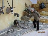 IMG 4903