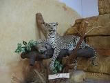 IMG 4905