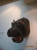 IMG 4909