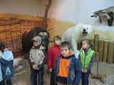 IMG 4916