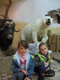IMG 4921