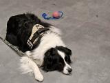 IMG-20231130-WA0013