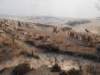 dscn5971_small.jpg