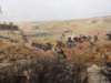 dscn5980_small.jpg