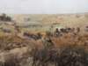 dscn5983_small.jpg