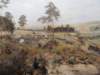 dscn5984_small.jpg