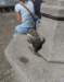 dscn6017_small.jpg