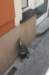 dscn6018_small.jpg