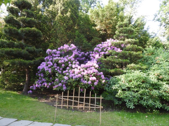 dscn6042.jpg