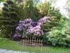 dscn6042_small.jpg