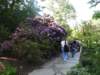 dscn6043_small.jpg
