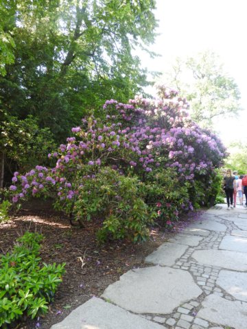 dscn6044.jpg