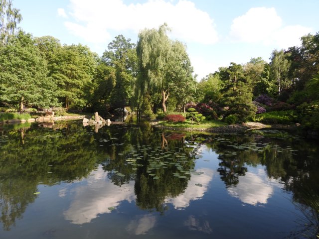 dscn6046.jpg