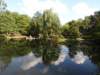 dscn6046_small.jpg