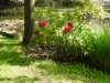 dscn6047_small.jpg