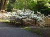 dscn6048_small.jpg