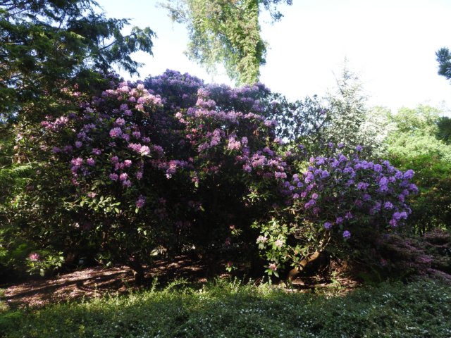 dscn6053.jpg