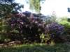 dscn6053_small.jpg